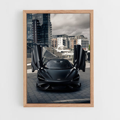 ap-765lt spider-5 cadre Bois clair