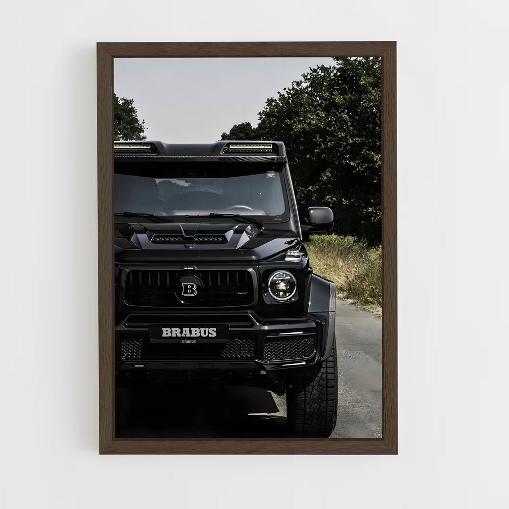 ap-800-1 cadre Bois foncé