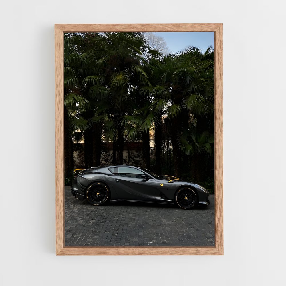 ap-812 competizione-11 cadre Bois clair