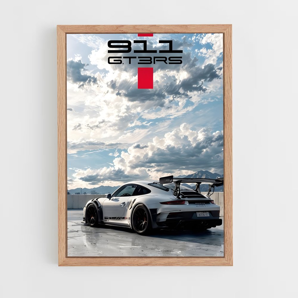 ap-911 gt3-5 cadre Bois clair