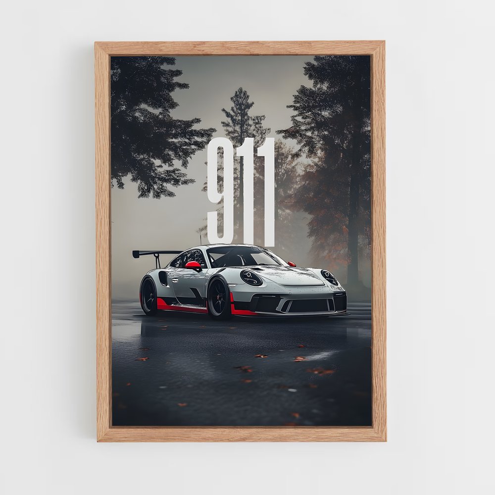 ap-911 r-3 cadre Bois clair