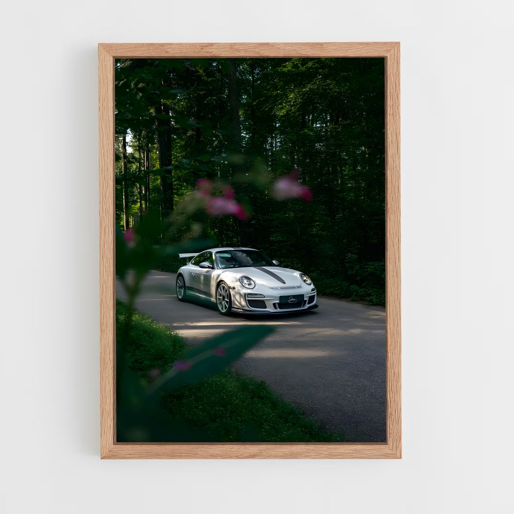 ap-997 gt3 rs-2 cadre Bois clair