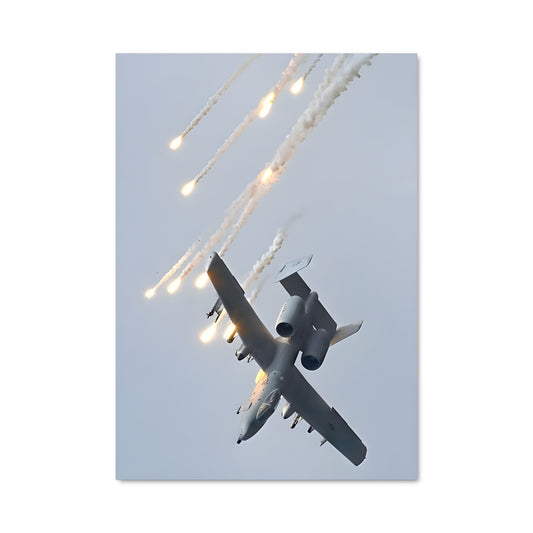 Poster Aile de Fumée