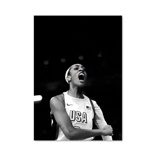 Poster A'ja wilson 58766