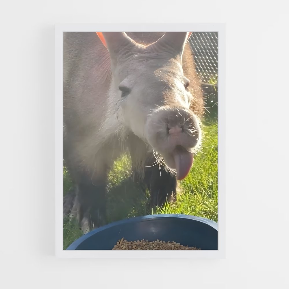 ap-aardvark-2 cadre Blanc