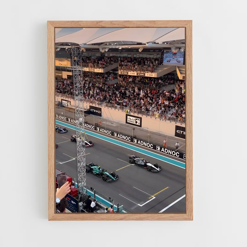 ap-abu dhabi grand prix-7 cadre Bois clair