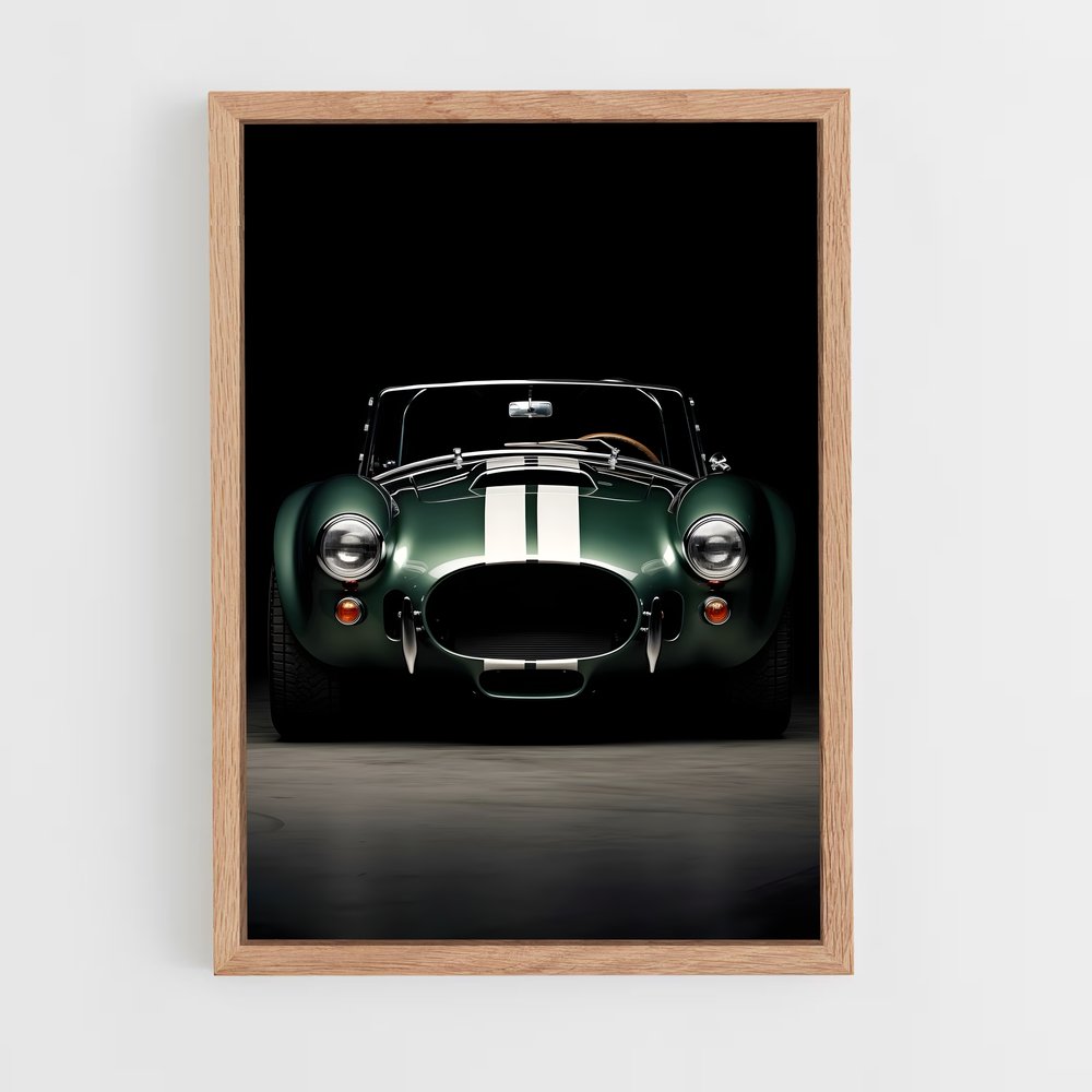 ap-ac cobra-3 cadre Bois clair