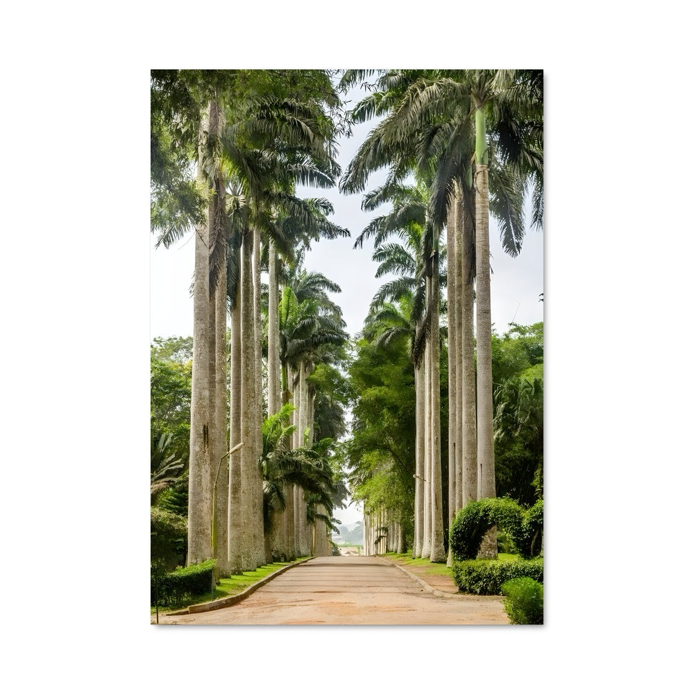 Poster Chemin des Palmiers