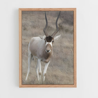 ap-addax-4 cadre Bois clair