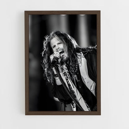 ap-aerosmith-5 cadre Bois foncé