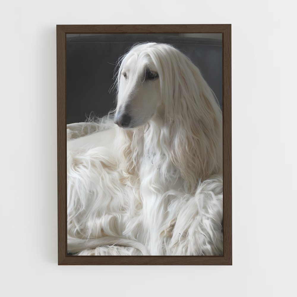 ap-afghan hound-1 cadre Bois foncé