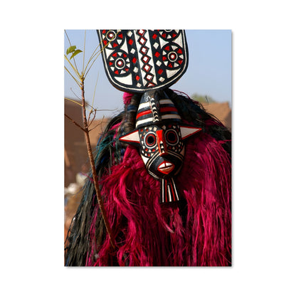 Poster Masque de Plumes