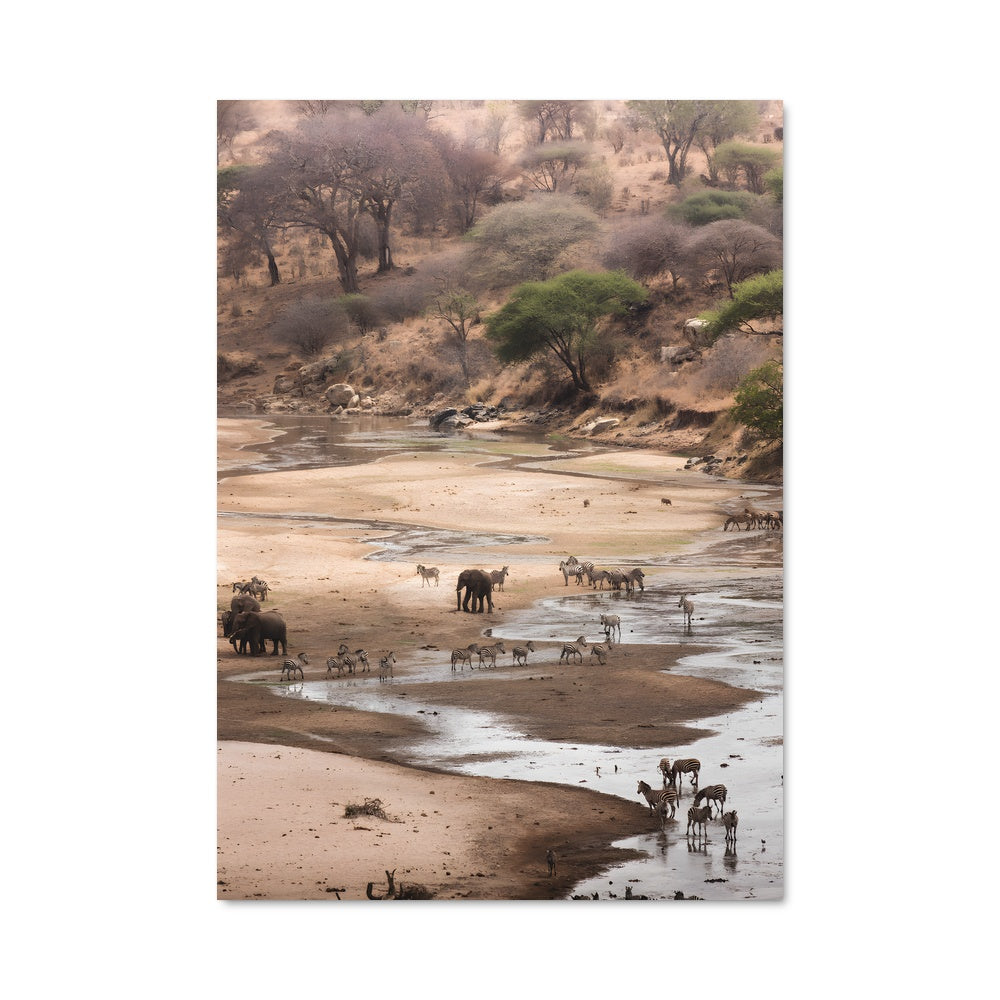 Poster African savanna 97559