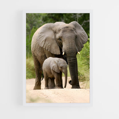 ap-african elephant-6 cadre Blanc