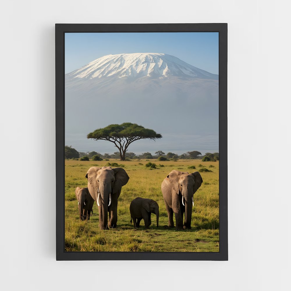 ap-african savanna-1 cadre Noir