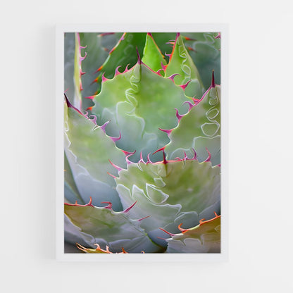 ap-agave-2 cadre Blanc