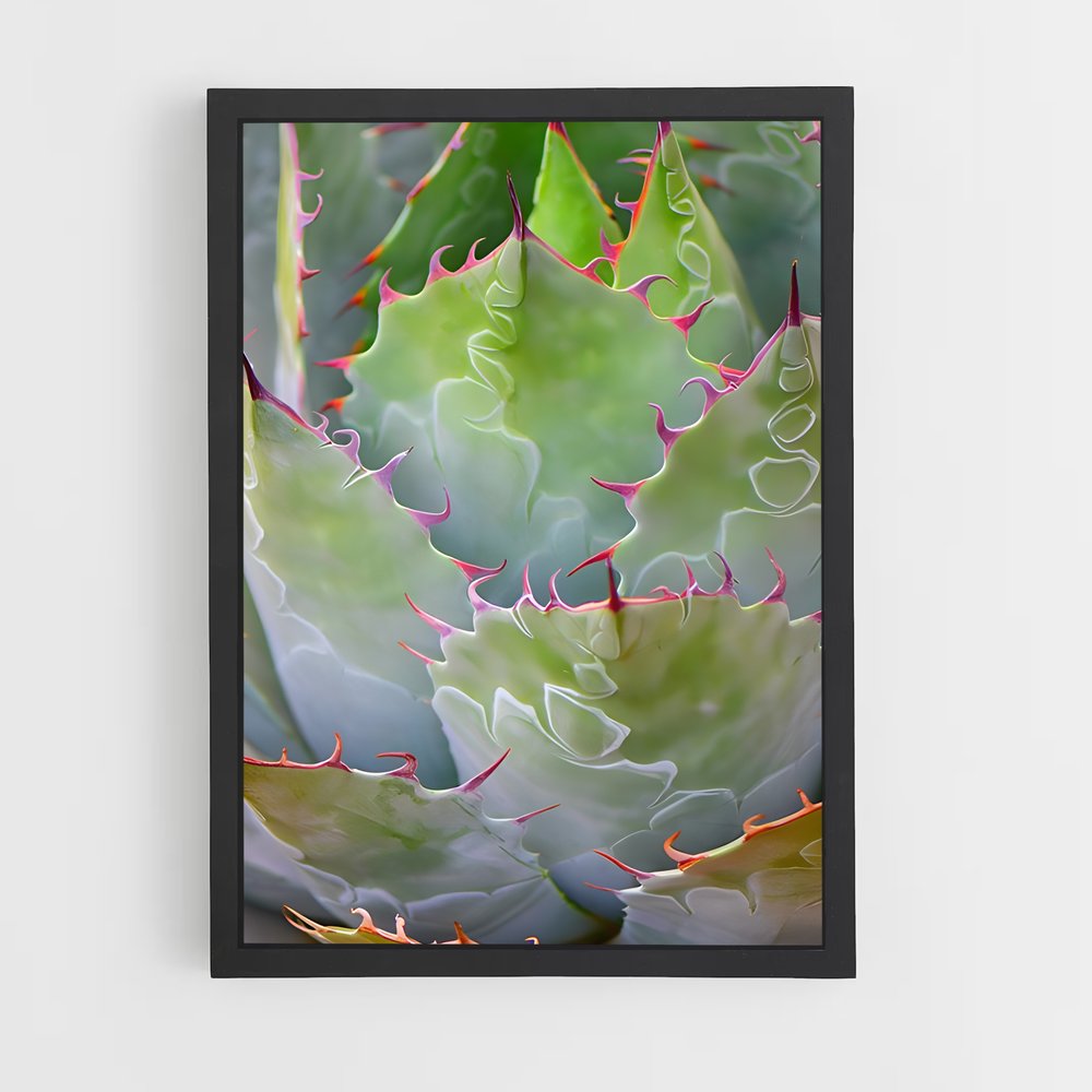 ap-agave-2 cadre Noir