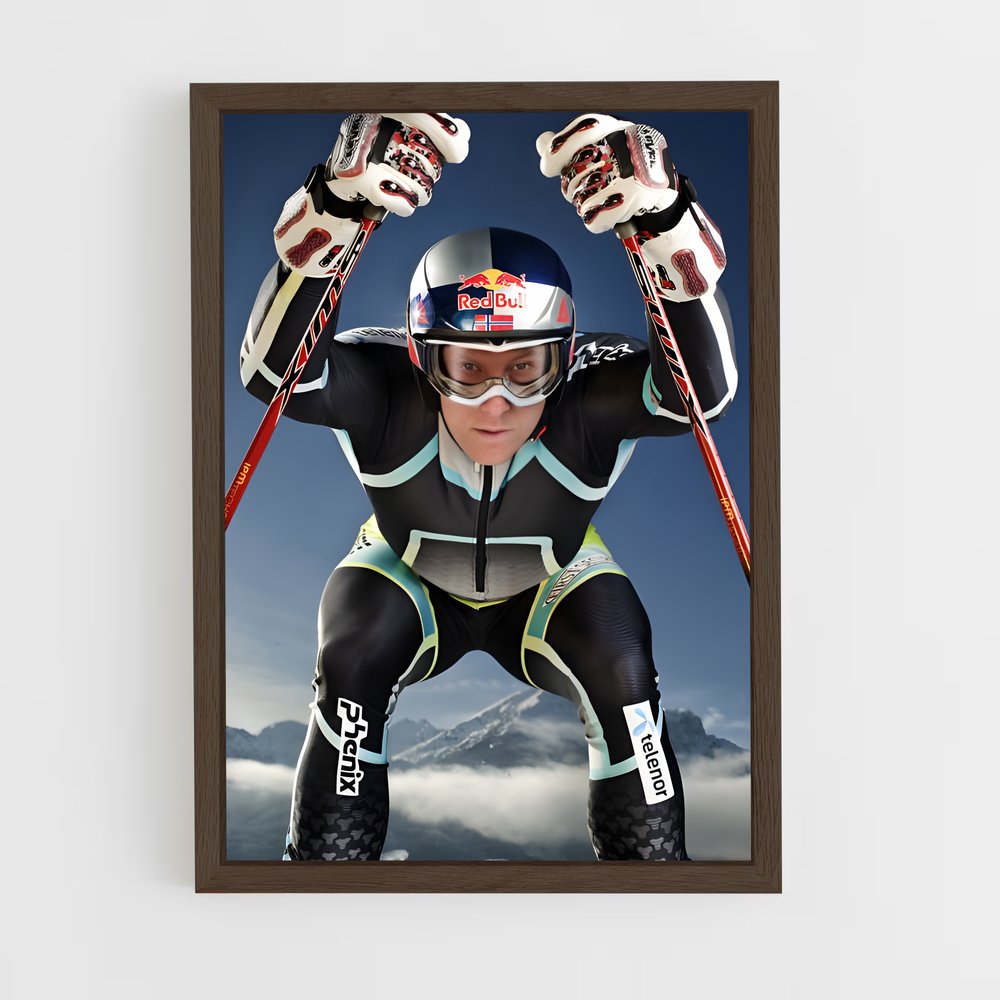 ap-aksel lund svindal-2 cadre Bois foncé