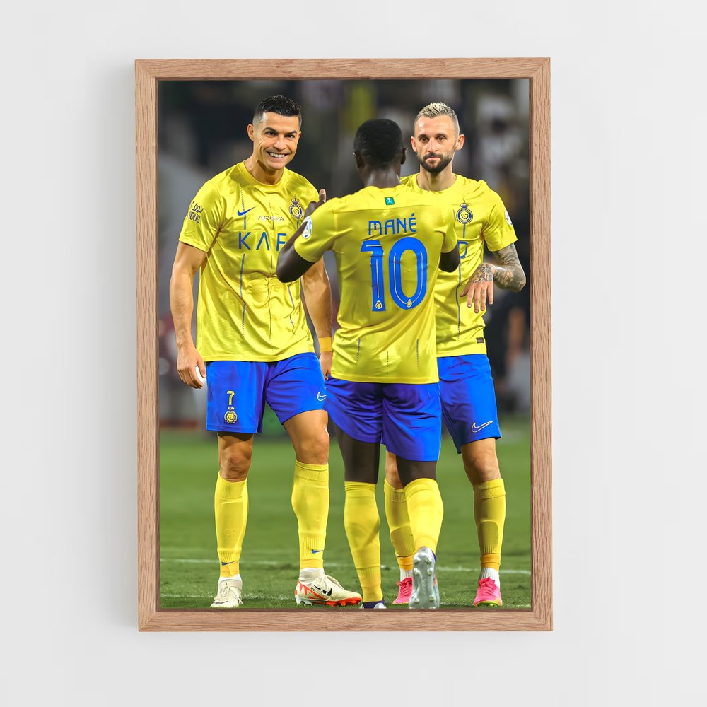 ap-al raed fc-1 cadre Bois clair
