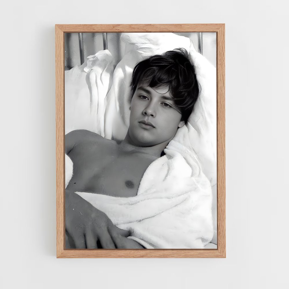 ap-alain delon-10 cadre Bois clair