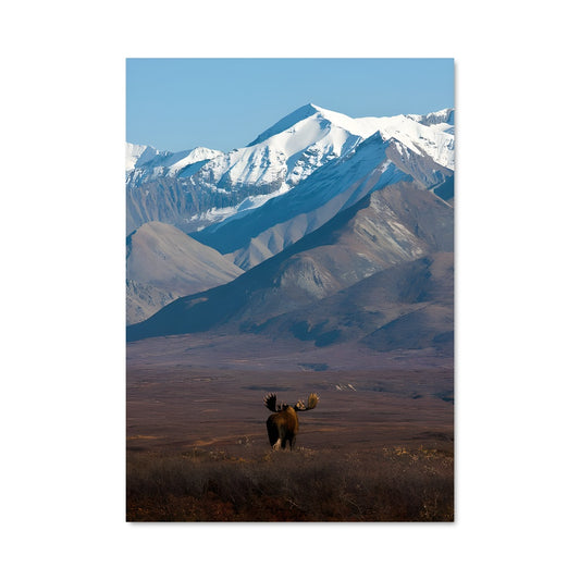 Poster Éléphant de Toundra