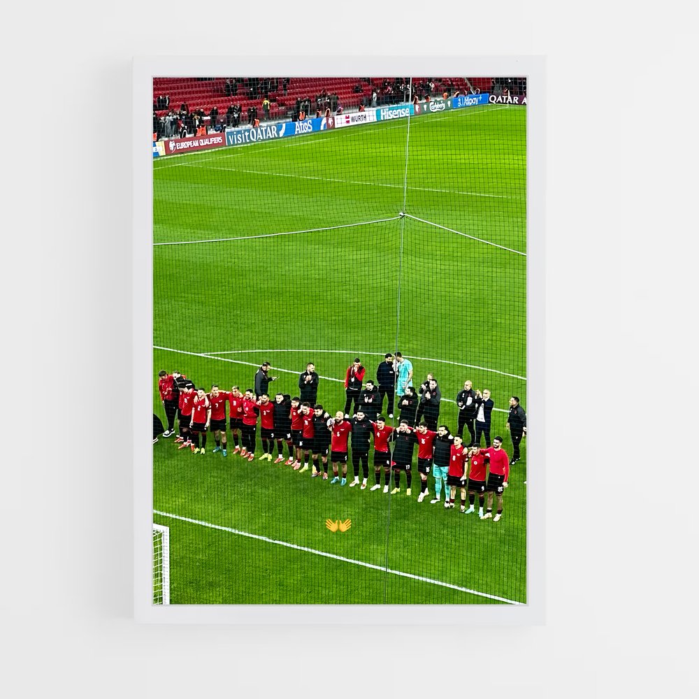 ap-albania national football team-4 cadre Blanc