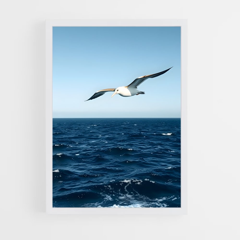 ap-albatross-5 cadre Blanc