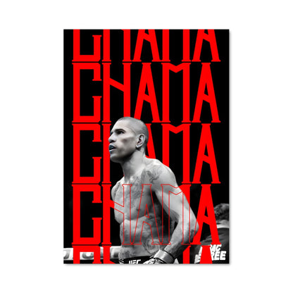 Poster Alex pereira 61993