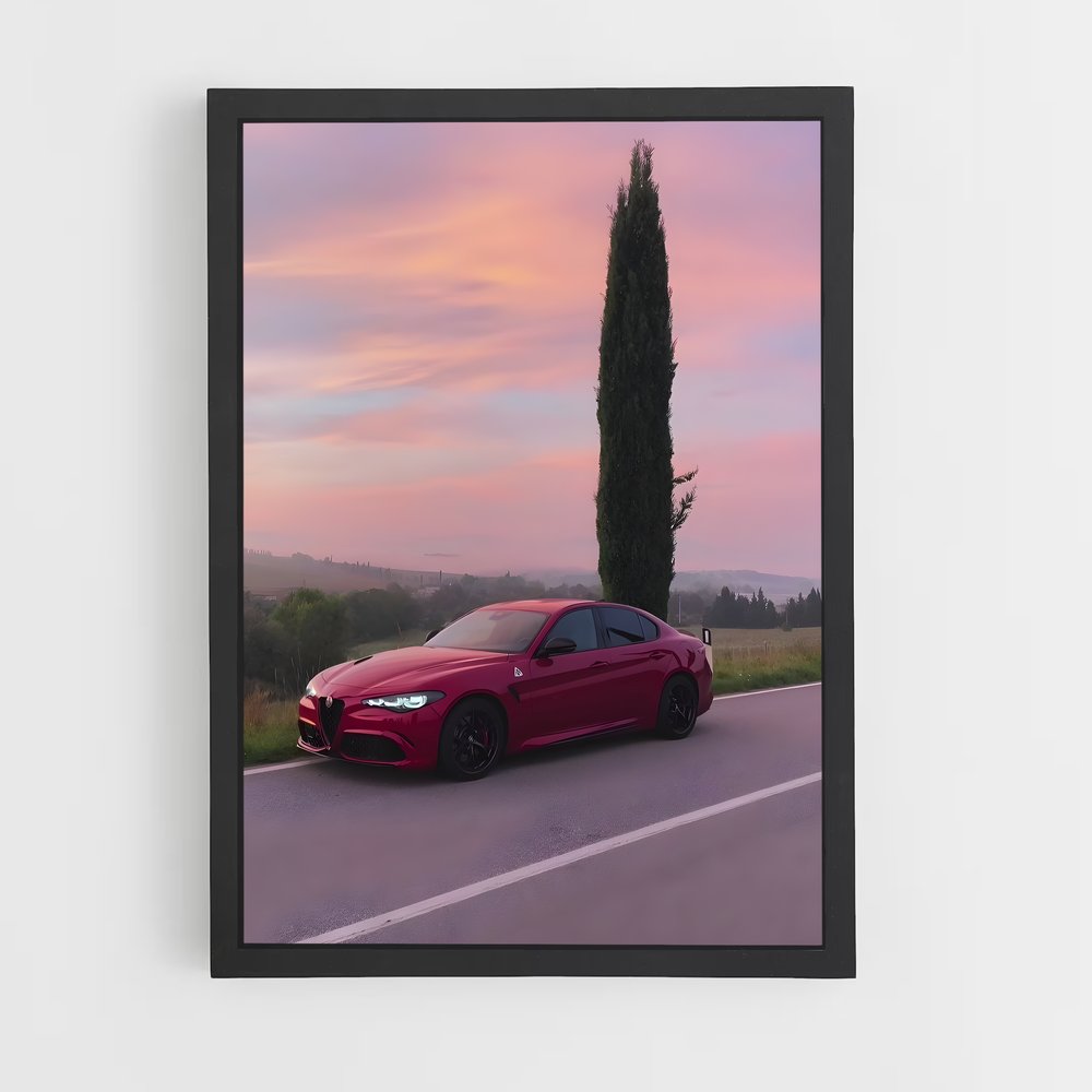 ap-alfa romeo-1 cadre Noir
