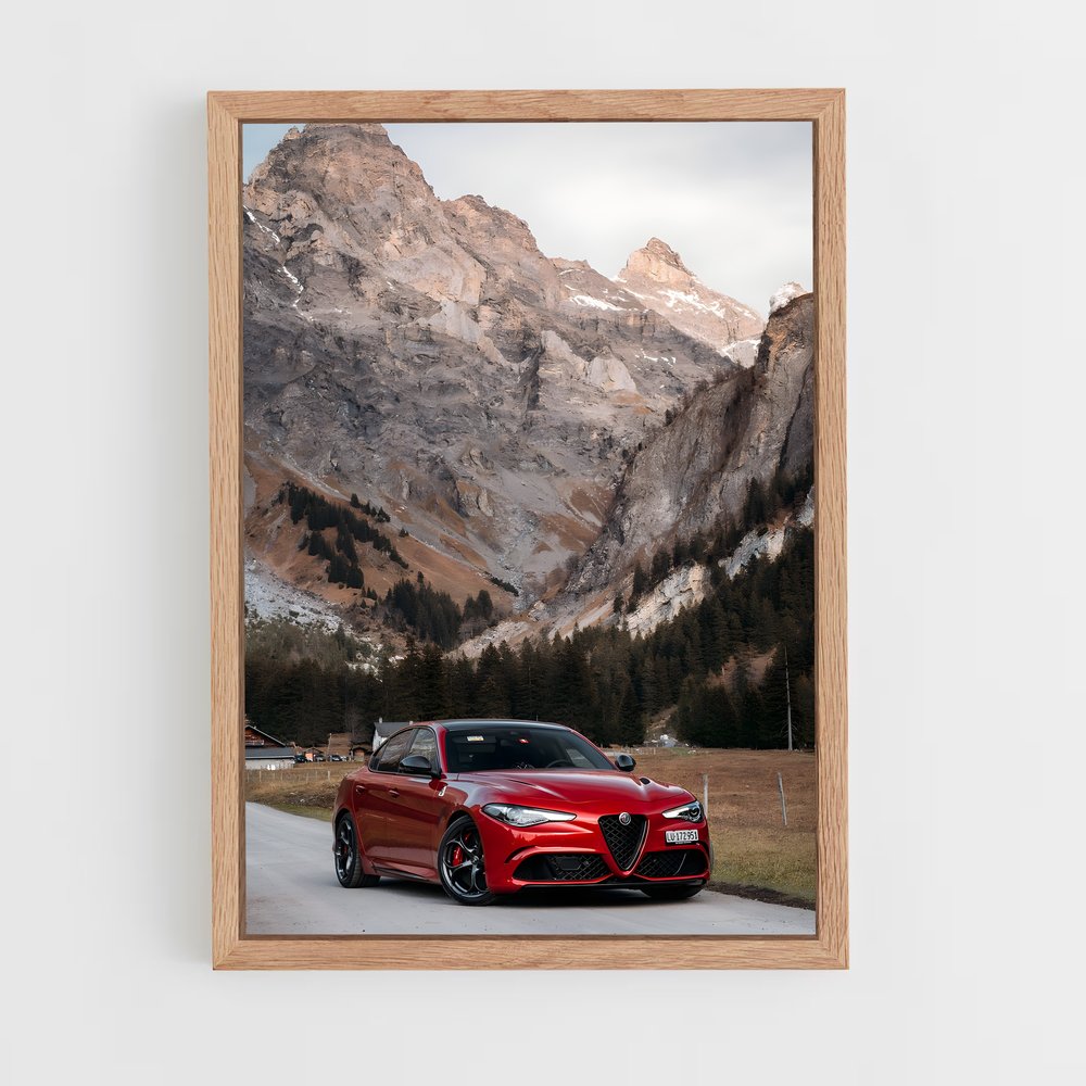 ap-alfa romeo-2 cadre Bois clair