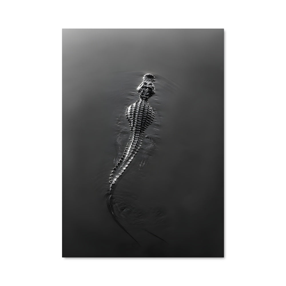 Poster Dans les Eaux Sauvages