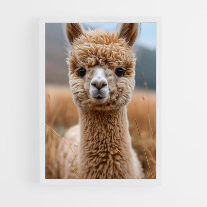 ap-alpaca-2 cadre Blanc