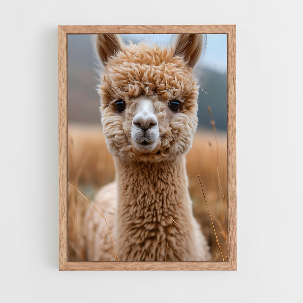 ap-alpaca-2 cadre Bois clair