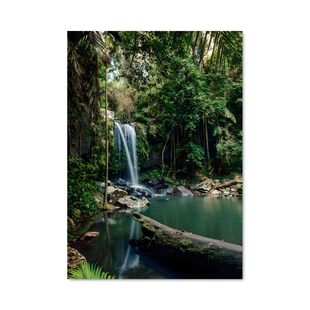 Poster Amazon rainforest 93788