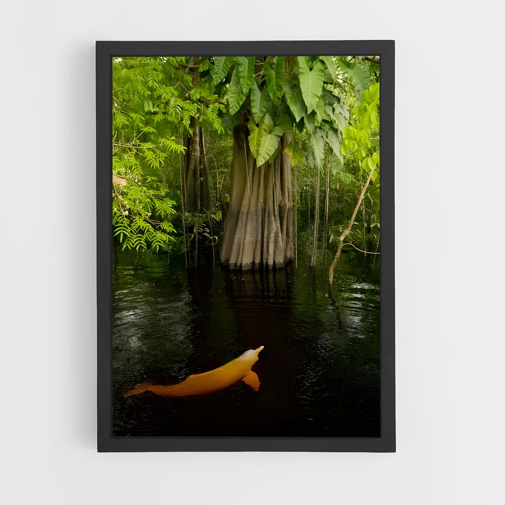 ap-amazon rainforest-1 cadre Noir