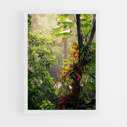 ap-amazon rainforest-10 cadre Blanc