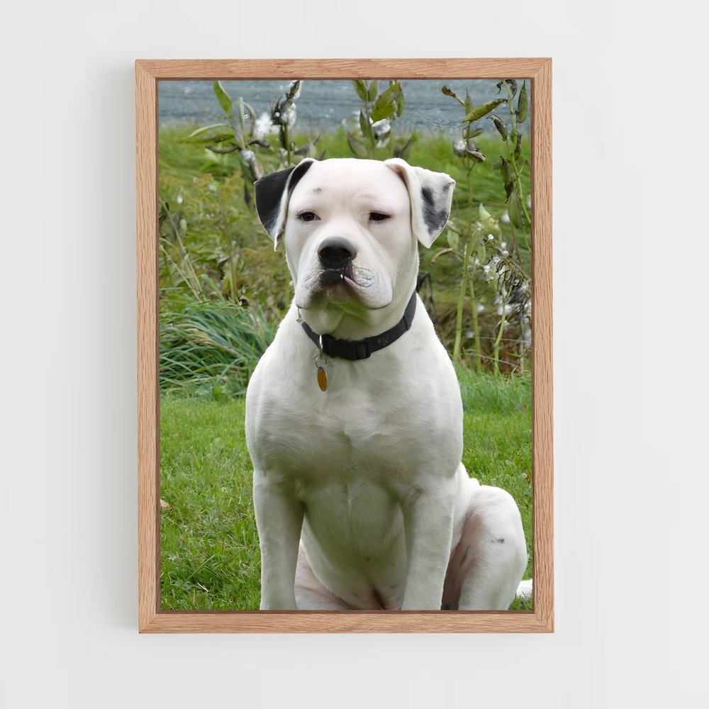 ap-american bulldog-1 cadre Bois clair