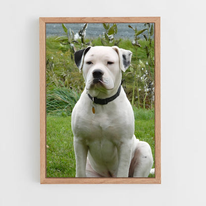 ap-american bulldog-1 cadre Bois clair