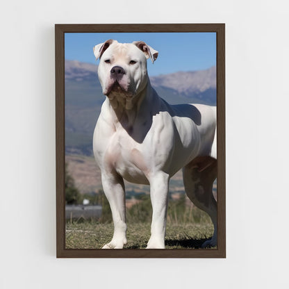 ap-american bulldog-2 cadre Bois foncé