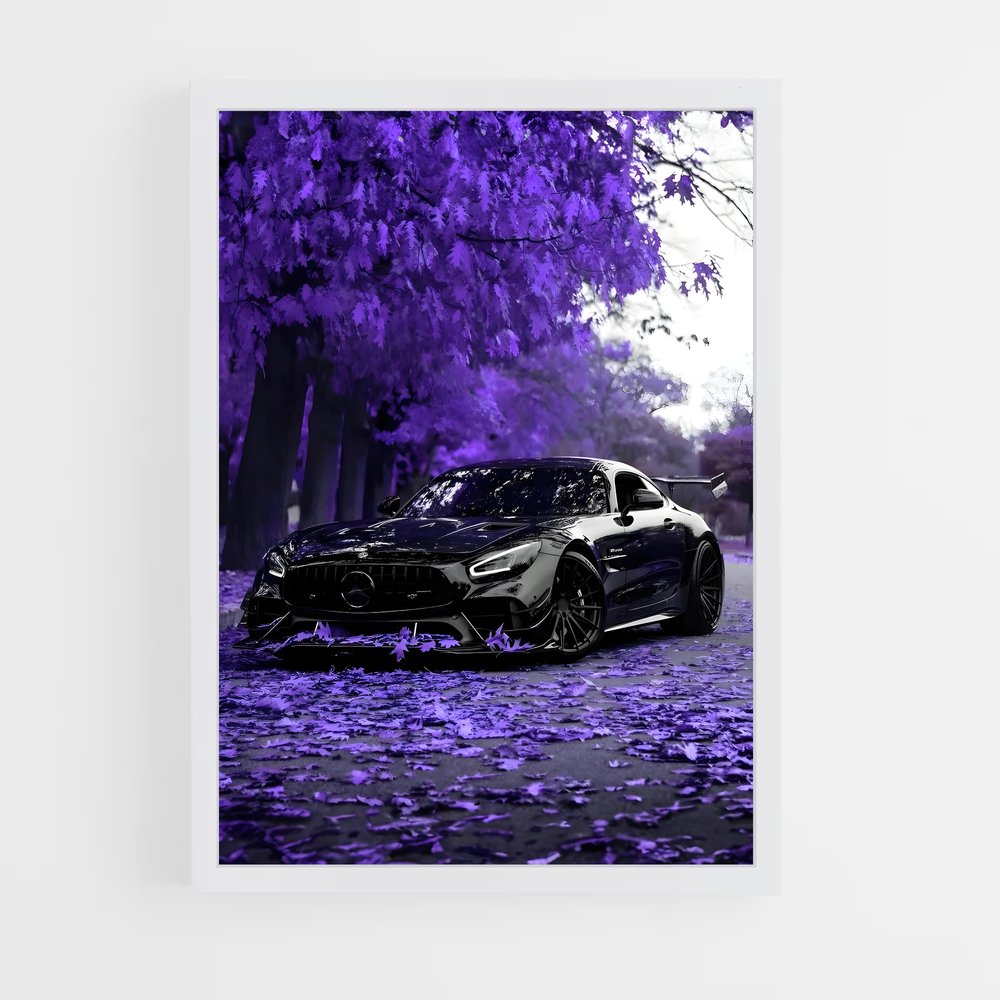 ap-amg gt-1 cadre Blanc