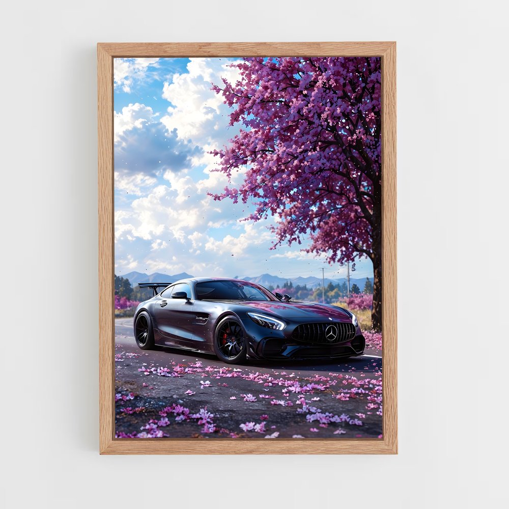 ap-amg gt-5 cadre Bois clair