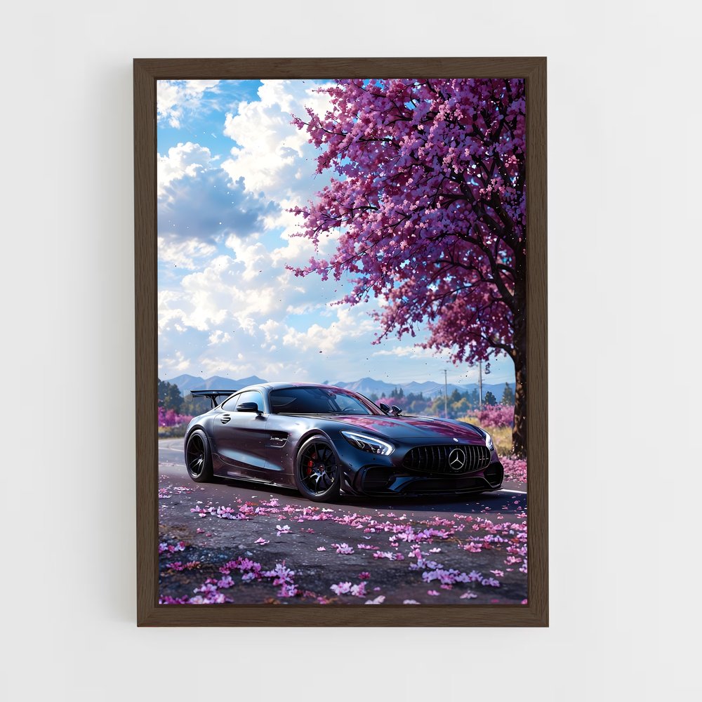 ap-amg gt-5 cadre Bois foncé