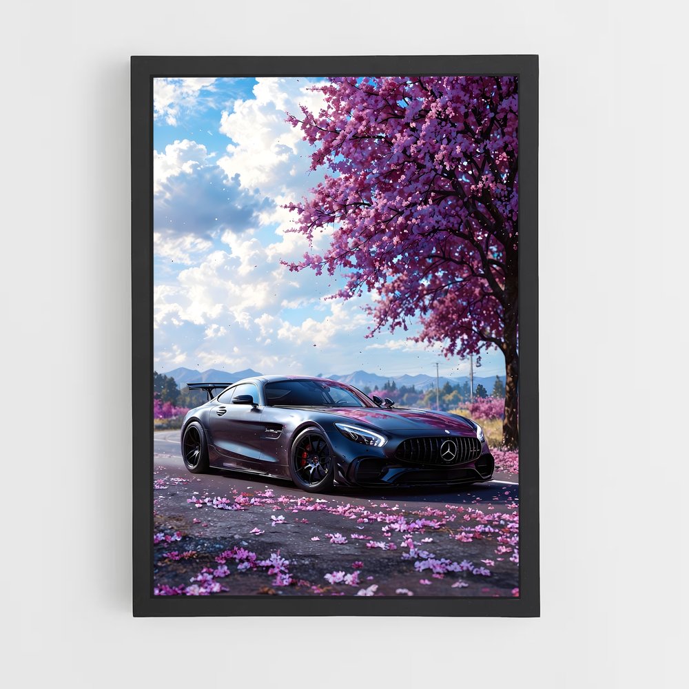ap-amg gt-5 cadre Noir