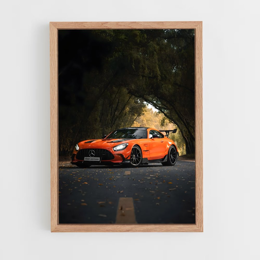 ap-amg gt-9 cadre Bois clair