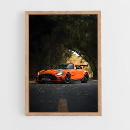 ap-amg gt-9 cadre Bois clair