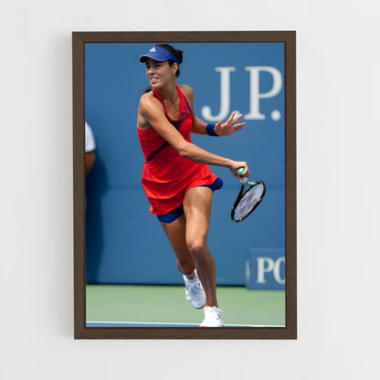 ap-ana ivanovic-2 cadre Bois foncé