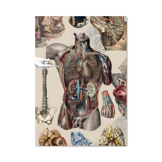 Poster Corps en Harmonie