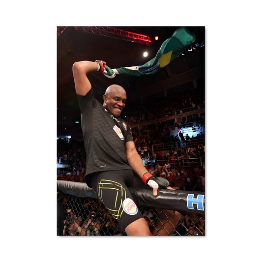Poster Anderson silva 62031