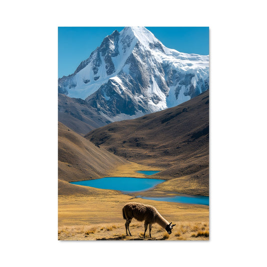 Poster Majesté des Andes