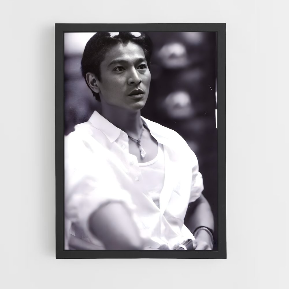 ap-andy lau-3 cadre Noir